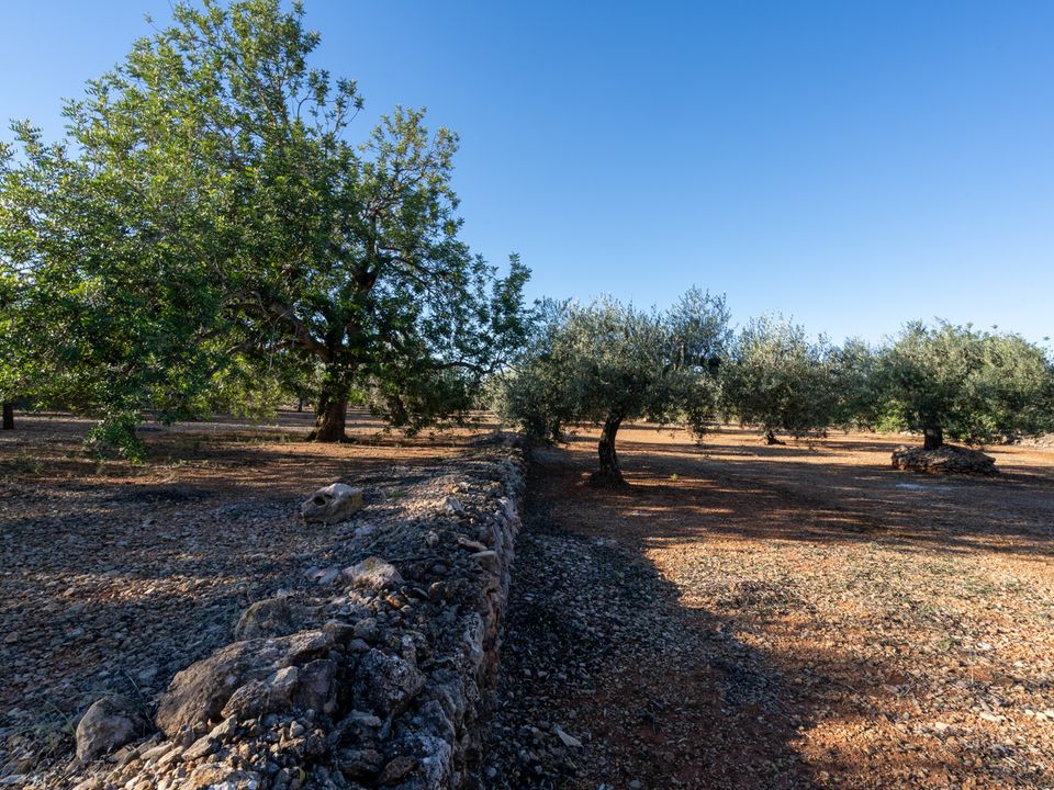 Finca i Godall, Tarragona - foto 1