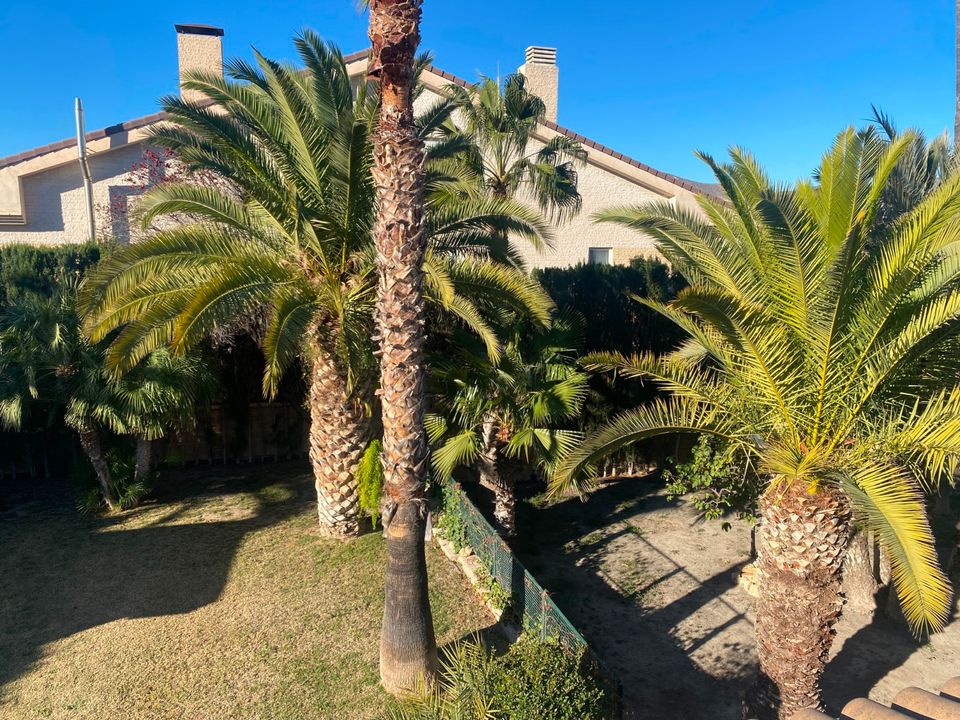 Villa i Elda, Alicante - foto 5