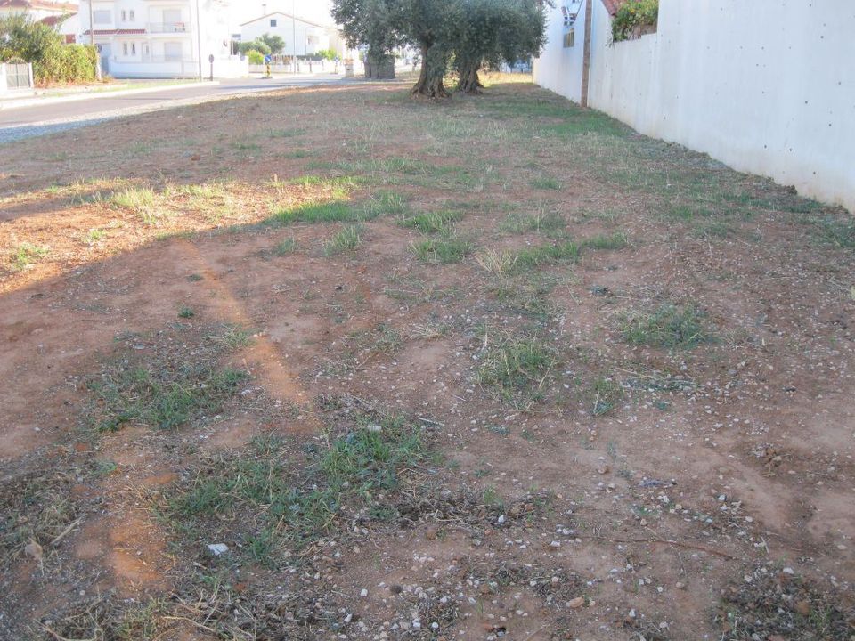 Helårsgrund i Entroncamento, Santarem - foto 1