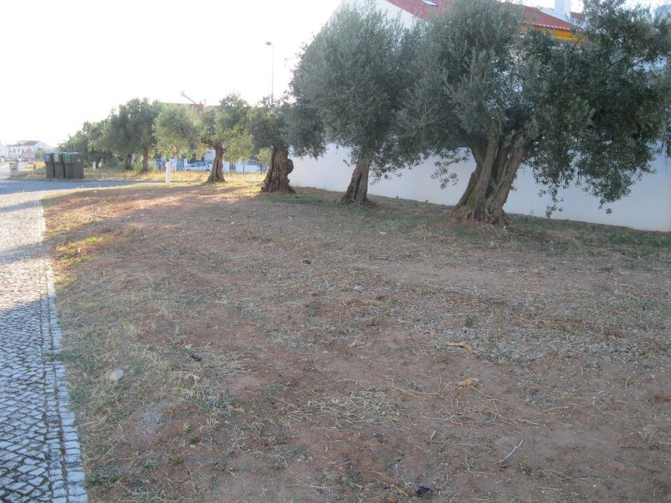 Helårsgrund i Entroncamento, Santarem - foto 2