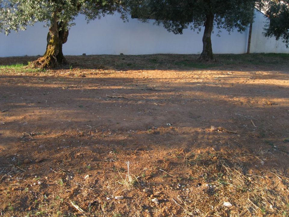 Helårsgrund i Entroncamento, Santarem - foto 2