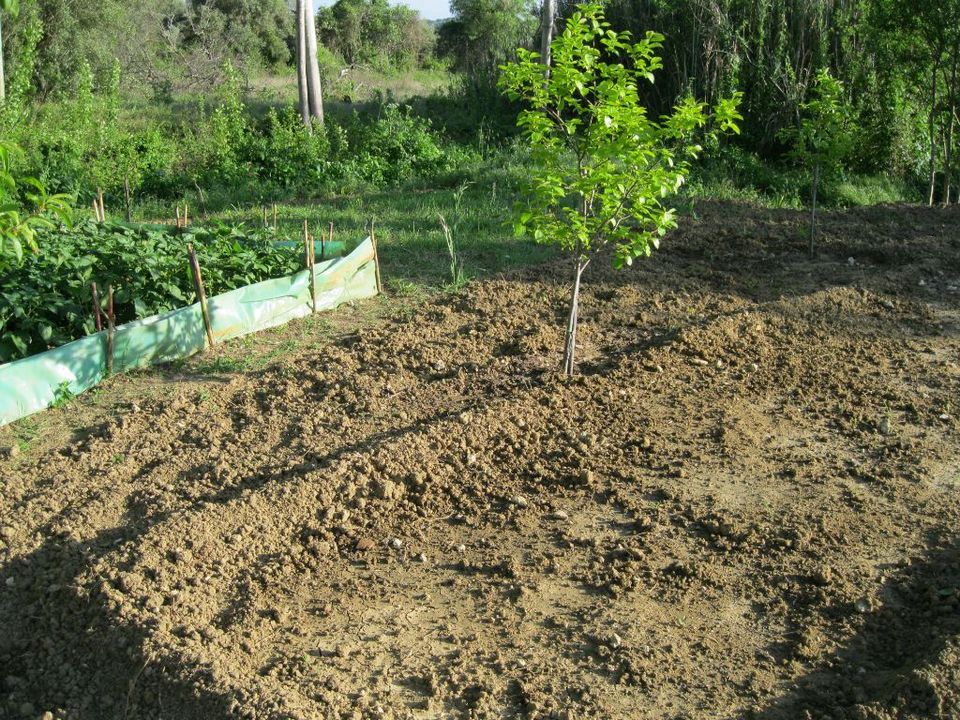 Helårsgrund i Tomar, Santarem - foto 1