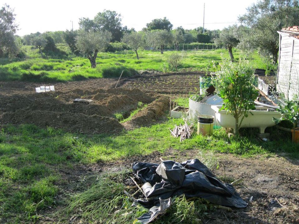Helårsgrund i Tomar, Santarem - foto 5