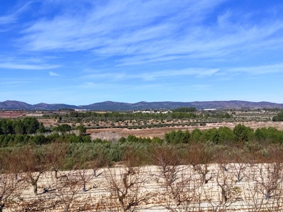Helårsgrund i Bufali, Valencia - foto 1