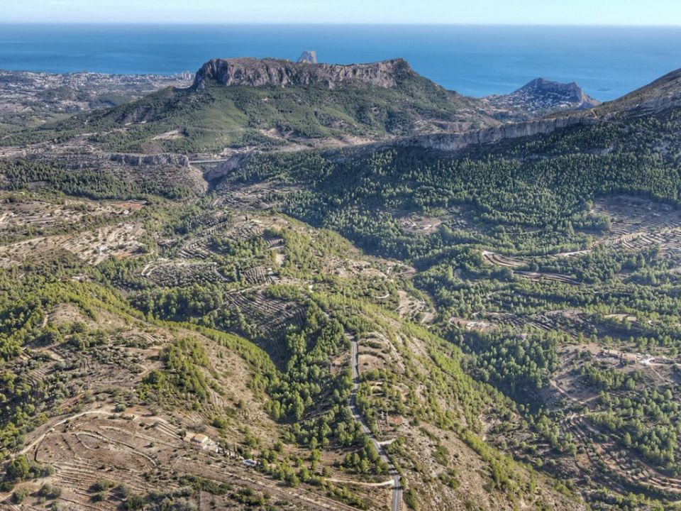 Helårsgrund i Jalon, Alicante - foto 5