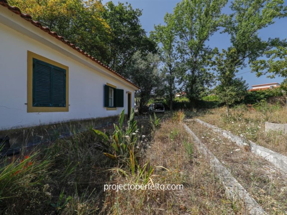 Farm i Estarreja, Aveiro - foto 4