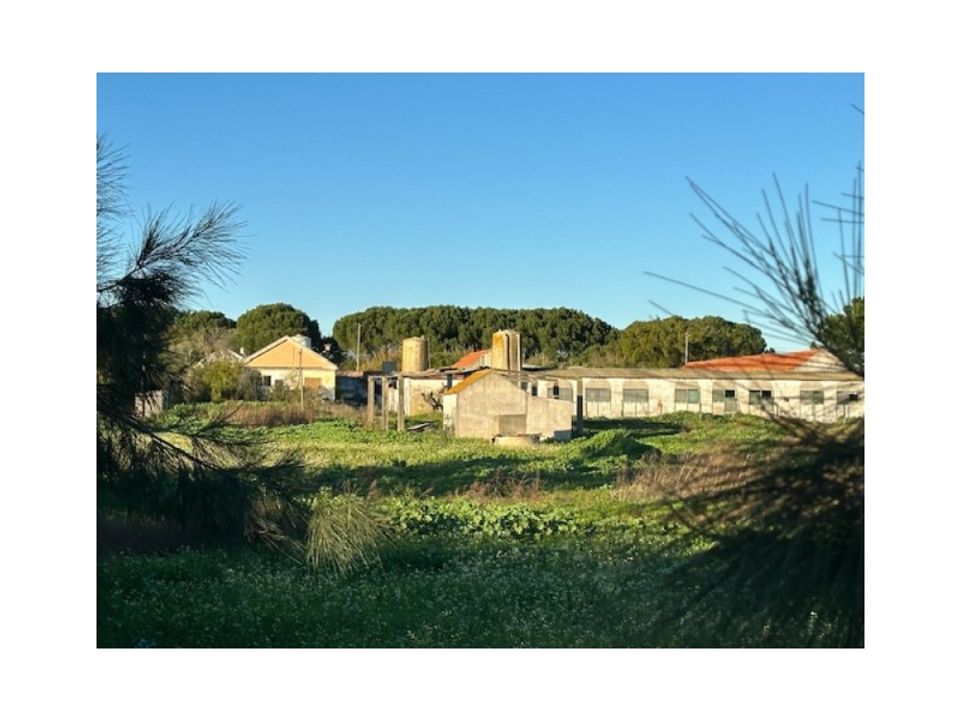 Farm i Palmela, Setubal - foto 1