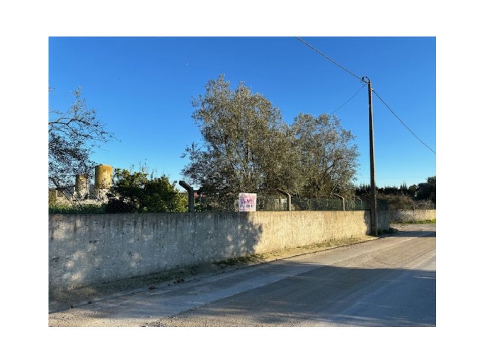 Farm i Palmela, Setubal - foto 4