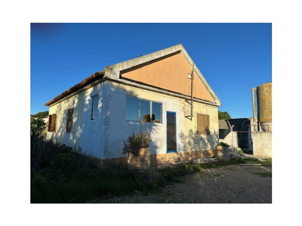 Farm i Palmela, Setubal - foto 5