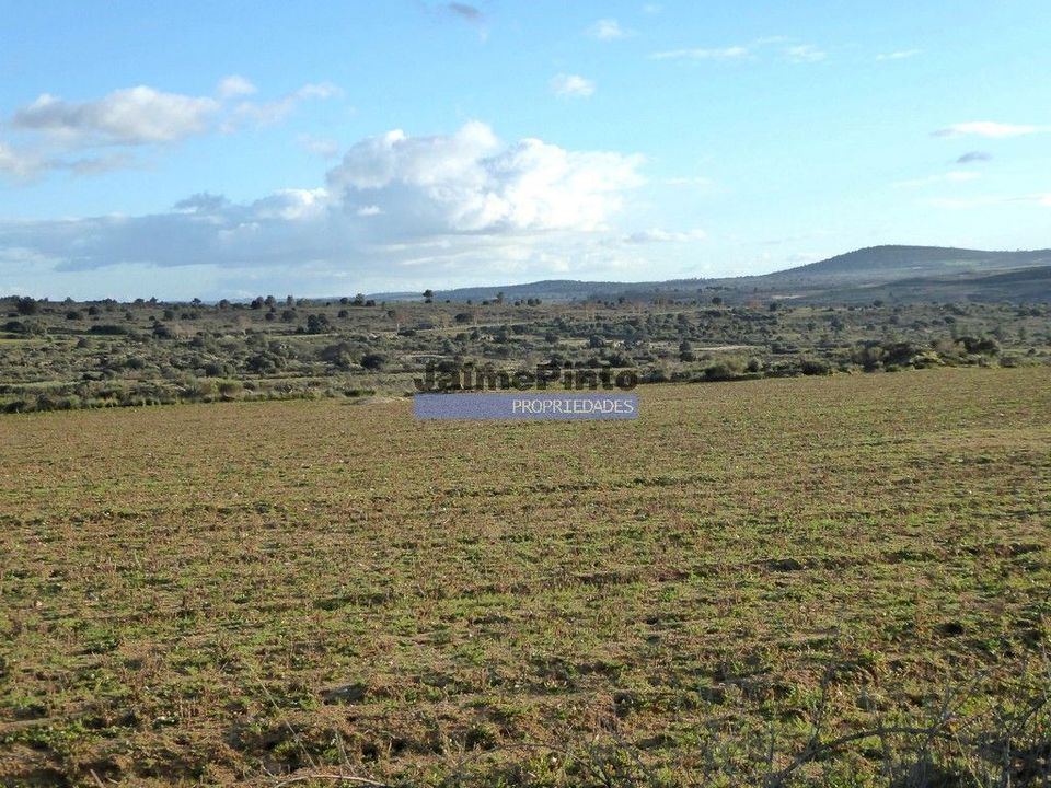 Helårsgrund i Figueira de Castelo Rodrigo, Guarda - foto 4