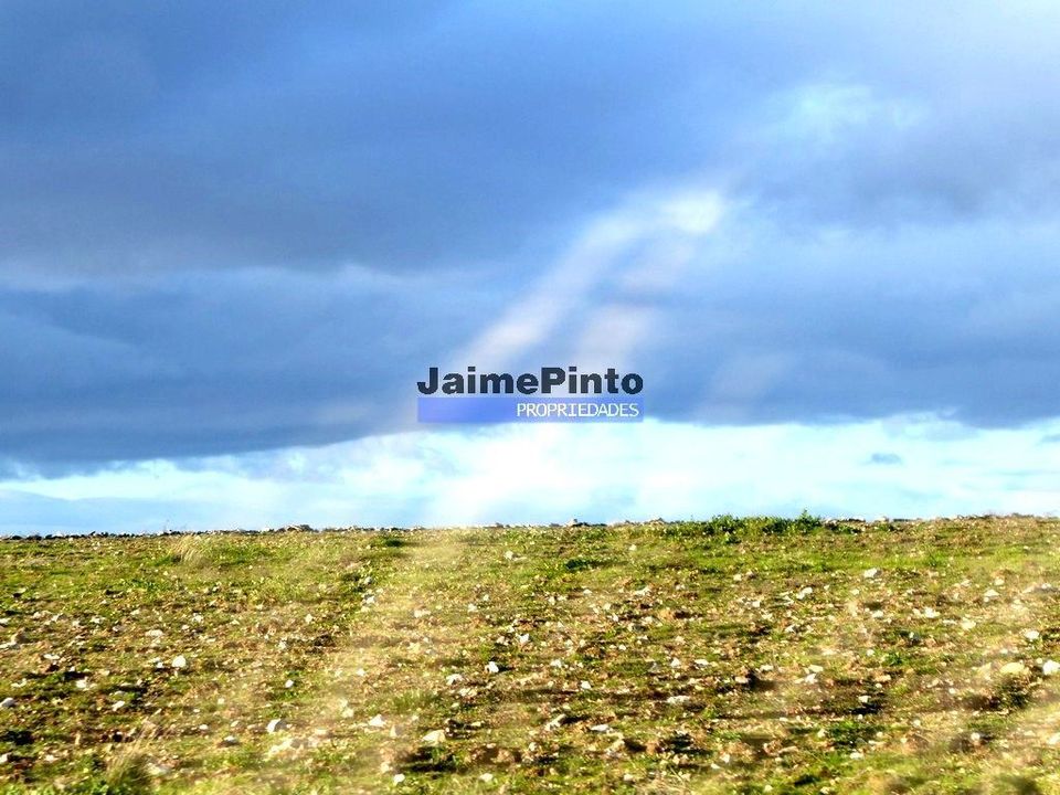 Helårsgrund i Figueira de Castelo Rodrigo, Guarda - foto 1