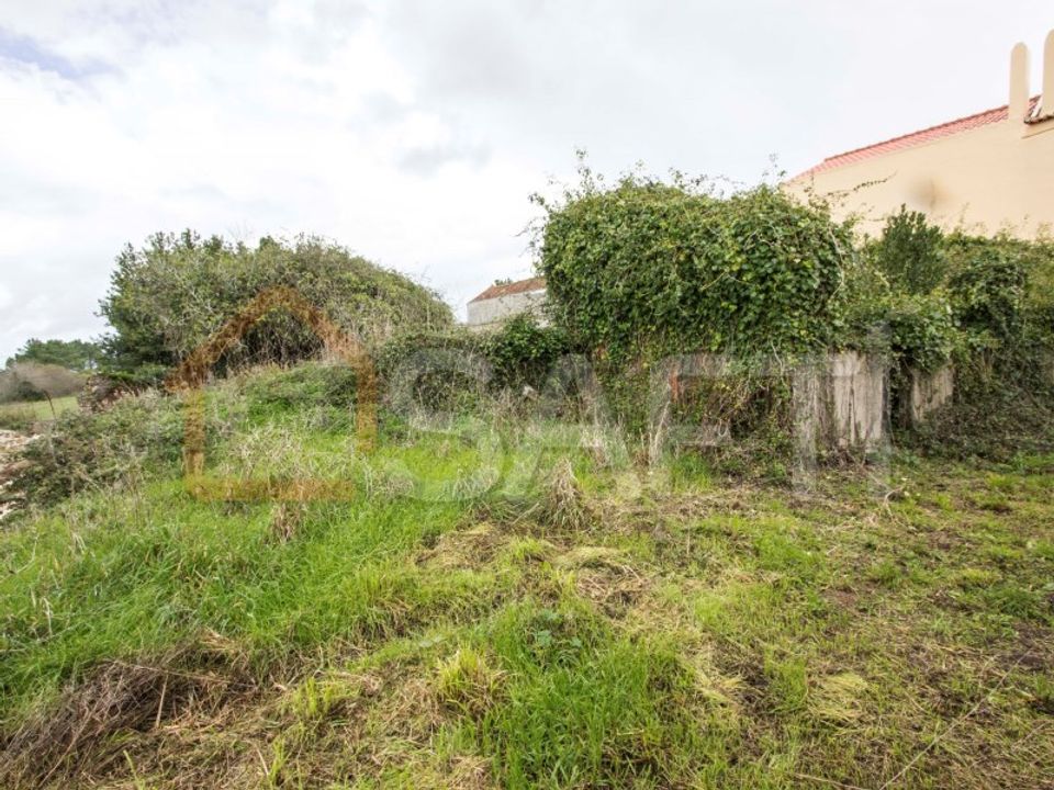 Landejendom i Alcobaca, Leiria - foto 5