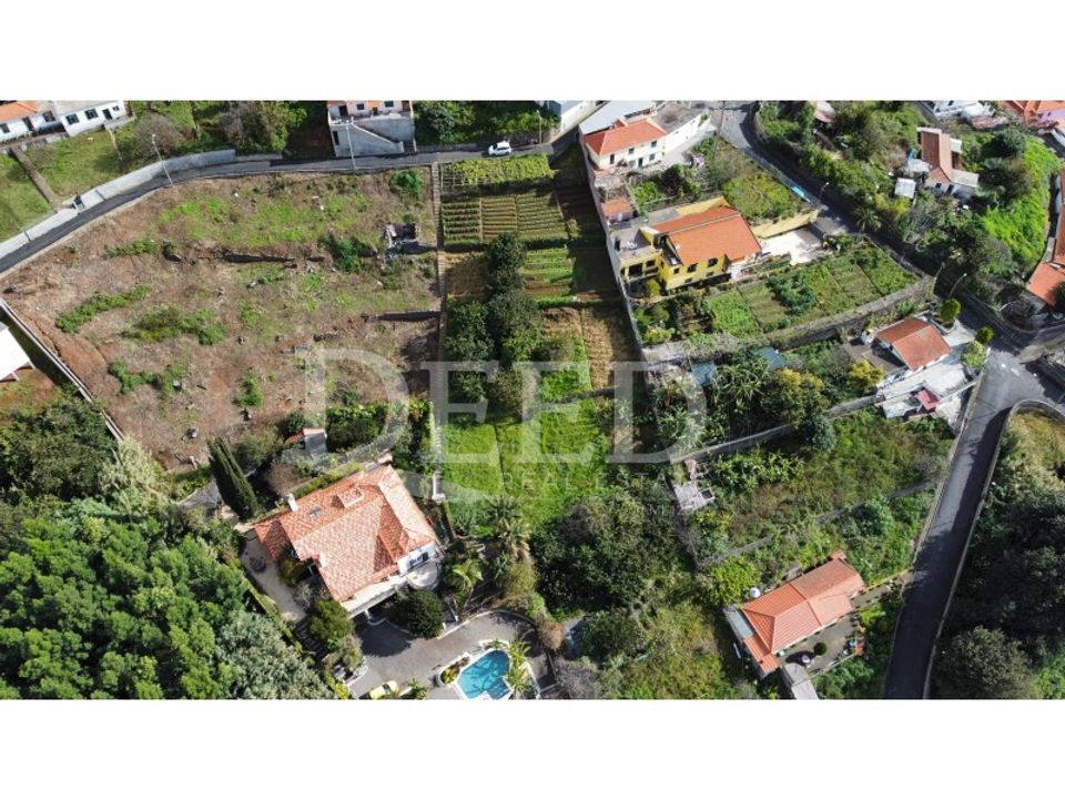Helårsgrund i Sao Roque, Madeira - foto 2