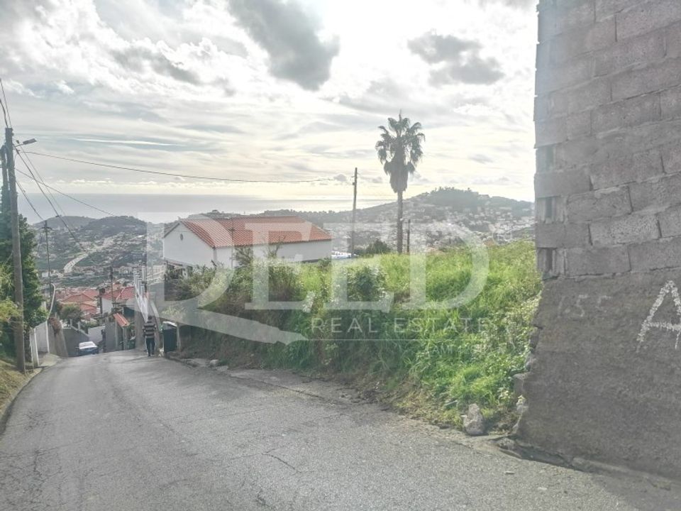 Helårsgrund i Sao Roque, Madeira - foto 5