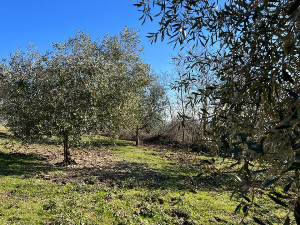 Helårsgrund i Arqua Petrarca, Padua - foto 2