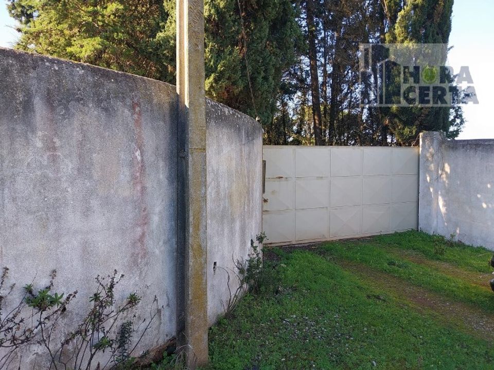 Farm i Torres Vedras, Lisbon - foto 2