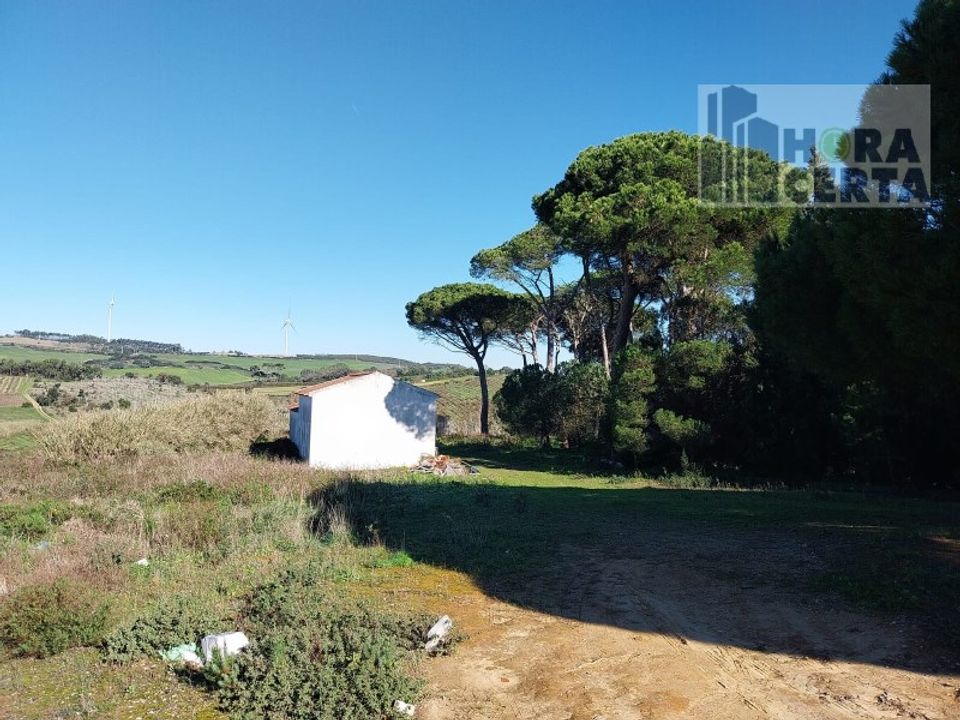 Farm i Torres Vedras, Lisbon - foto 4