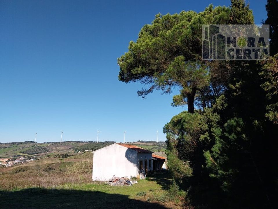 Farm i Torres Vedras, Lisbon - foto 5