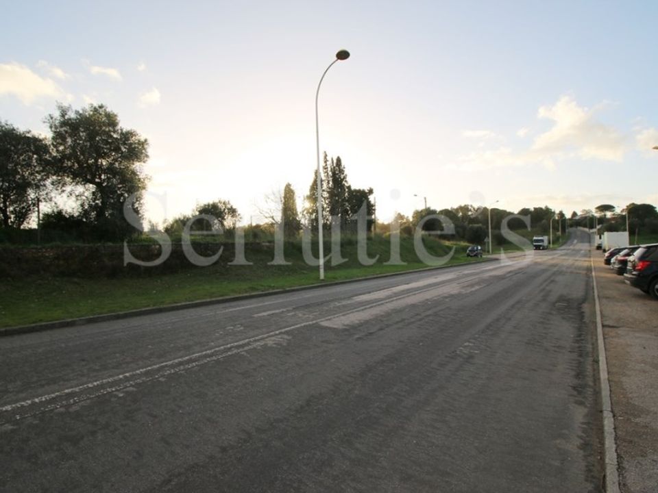 Helårsgrund i Torres Novas, Santarem - foto 2