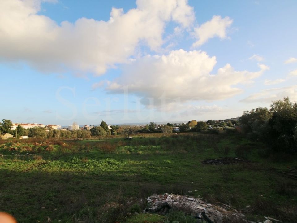 Helårsgrund i Torres Novas, Santarem - foto 4