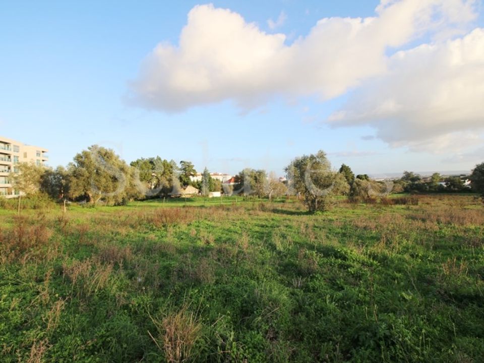 Helårsgrund i Torres Novas, Santarem - foto 5