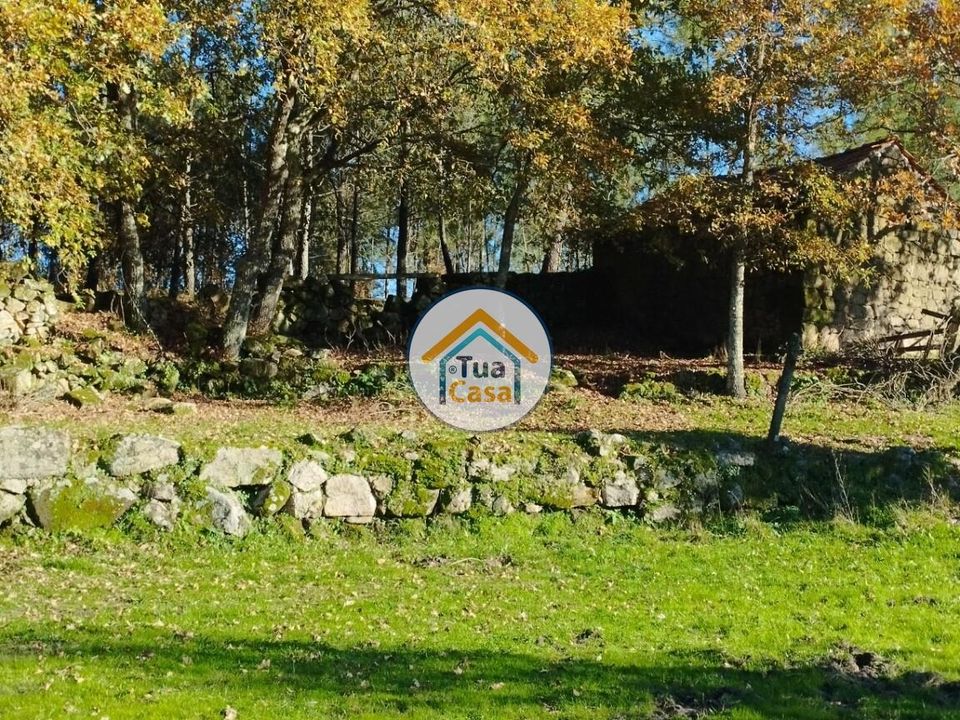 Helårsgrund i Viseu, Viseu - foto 2