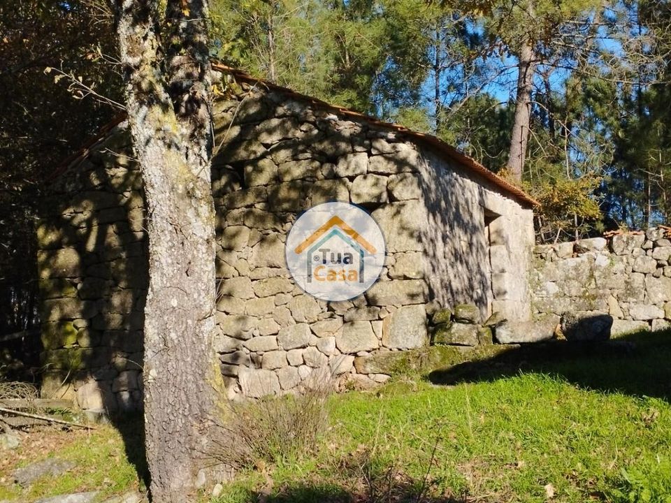Helårsgrund i Viseu, Viseu - foto 3