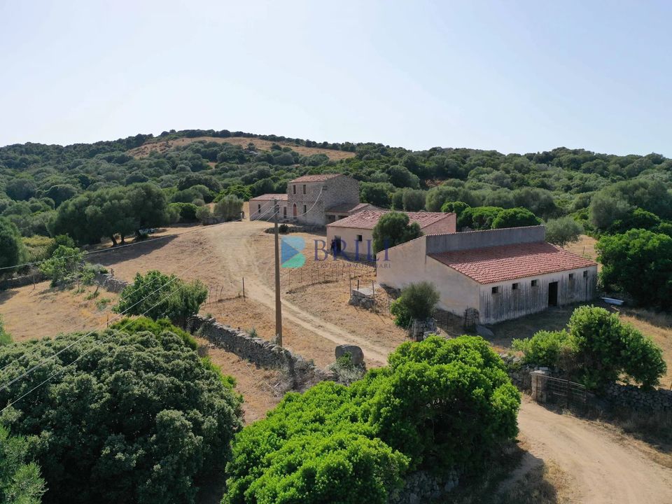 Erhvervsejendom i Luogosanto, Sassari - foto 4