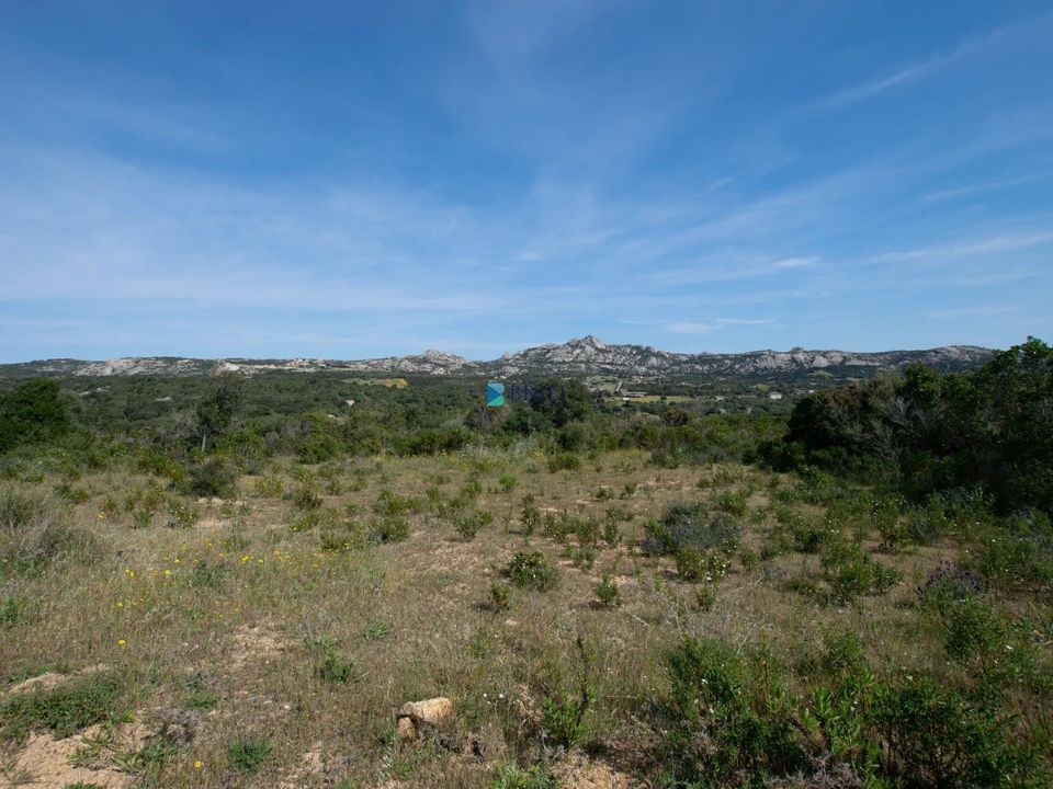 Helårsgrund i Arzachena, Sassari - foto 2
