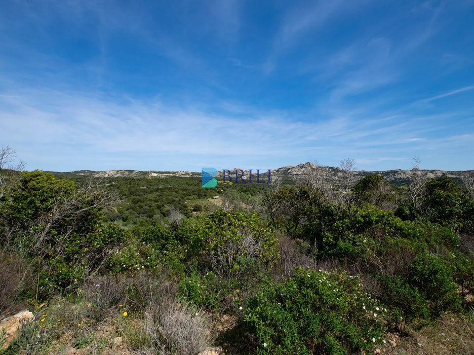 Helårsgrund i Arzachena, Sassari - foto 4