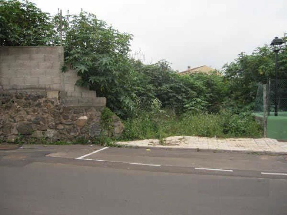 Tomt i Tacoronte, Tenerife - bilde 1