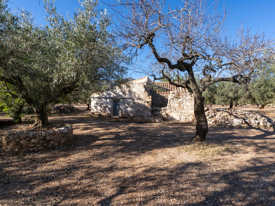 Finca i Mas De Barberans, Tarragona - foto 1