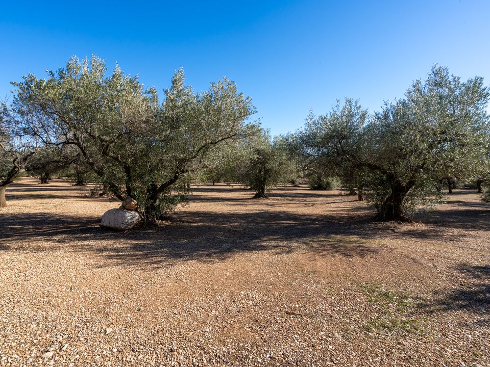 Finca i Mas De Barberans, Tarragona - foto 3