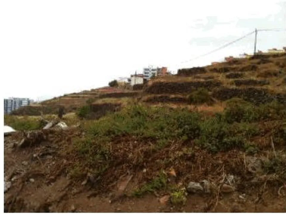 Helårsgrund i Los Realejos, Tenerife - foto 2