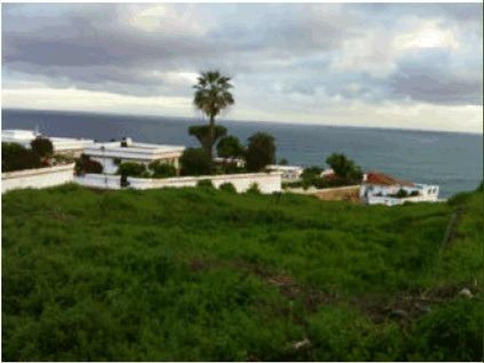 Helårsgrund i Los Realejos, Tenerife - foto 1