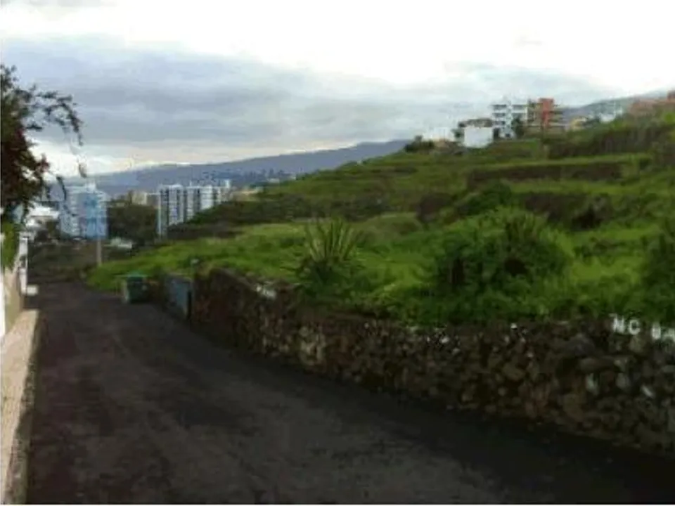 Helårsgrund i Los Realejos, Tenerife - foto 3
