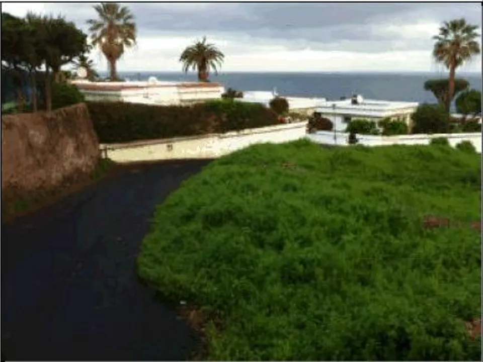 Helårsgrund i Los Realejos, Tenerife - foto 4