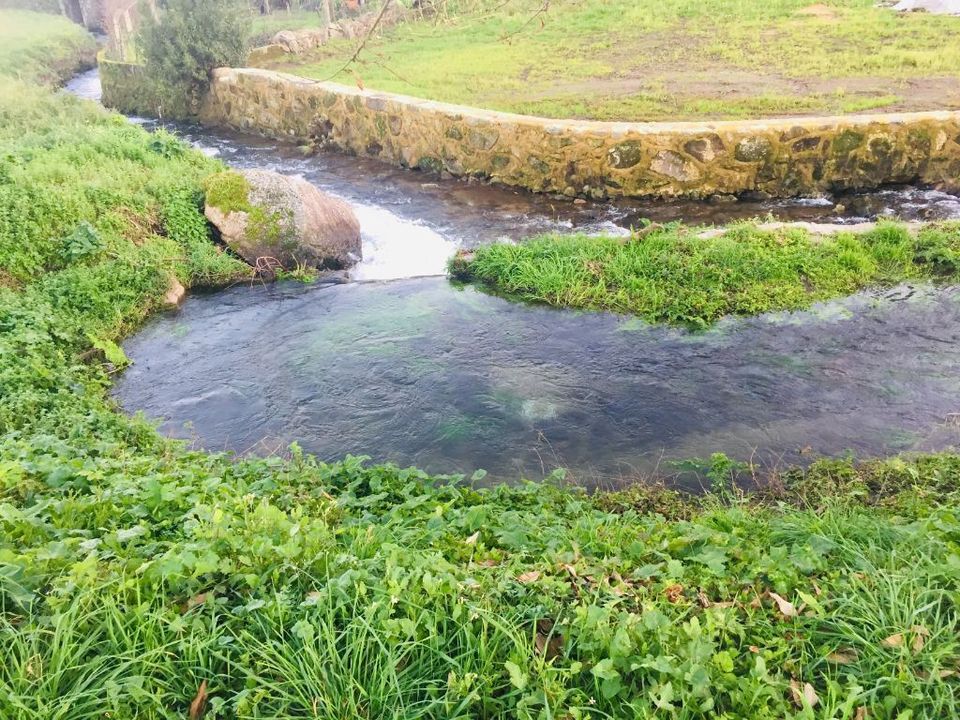 Helårsgrund i Barcelos, Braga - foto 2