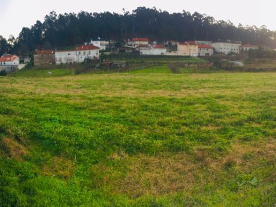 Helårsgrund i Barcelos, Braga - foto 3