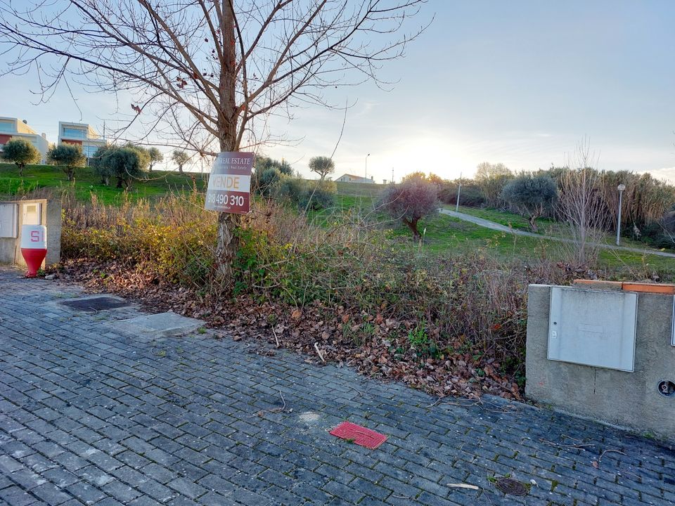 Helårsgrund i Torres Novas, Santarem - foto 4