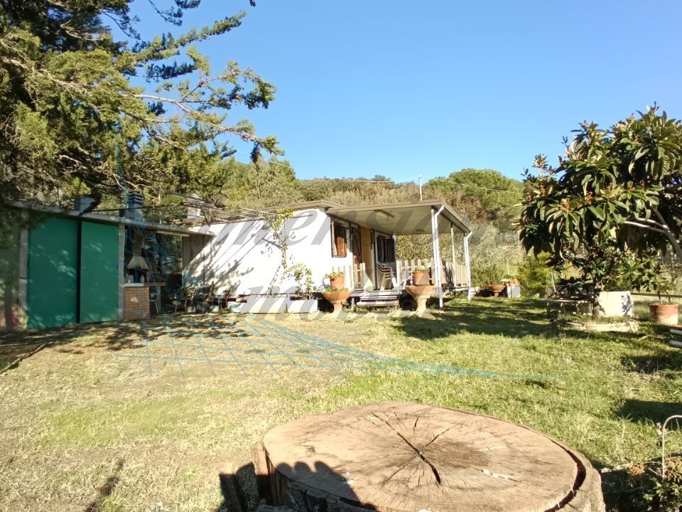 Villa i Rosignano Marittimo, Livorno - bilde 5
