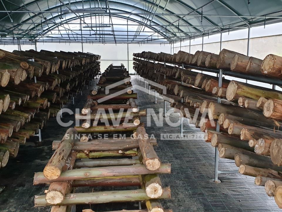Farm i Fafe, Braga - foto 2