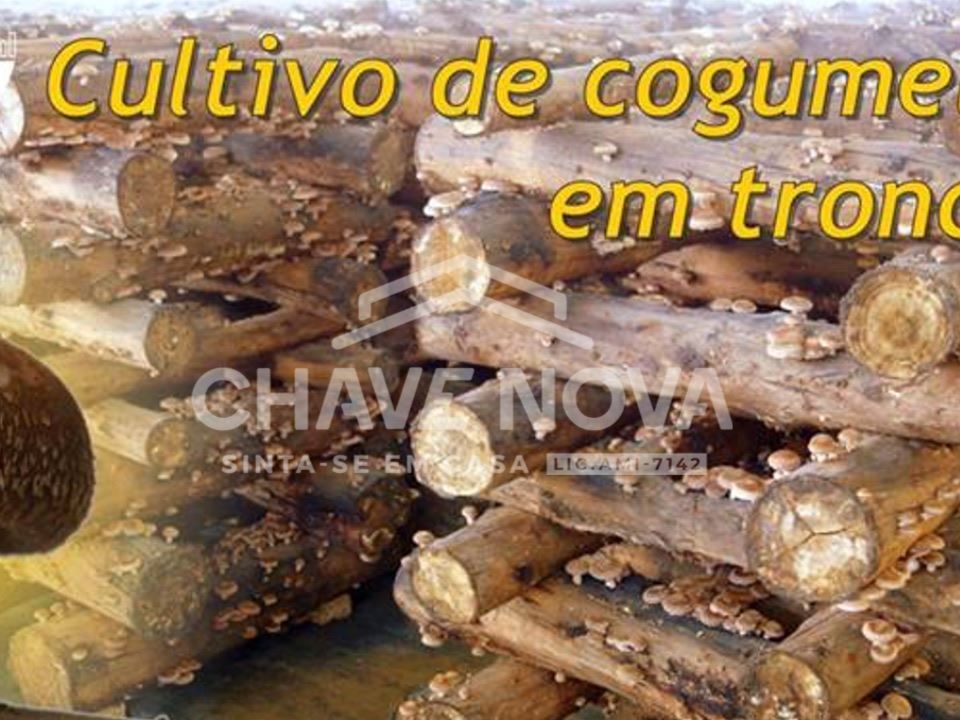 Farm i Fafe, Braga - foto 4