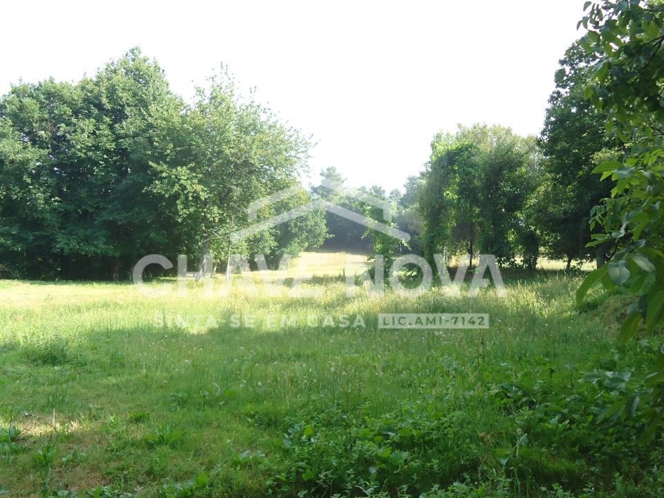 Farm i Fafe, Braga - foto 1