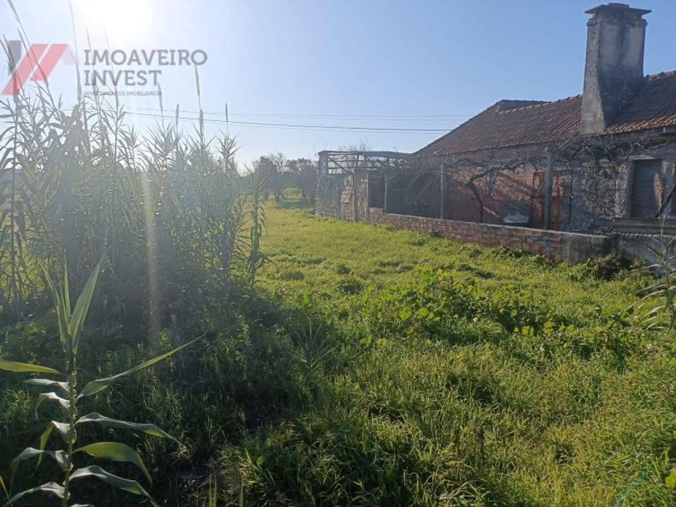 Tomt i Fonte de Angeao e Covao do Lobo, Aveiro - bilde 1