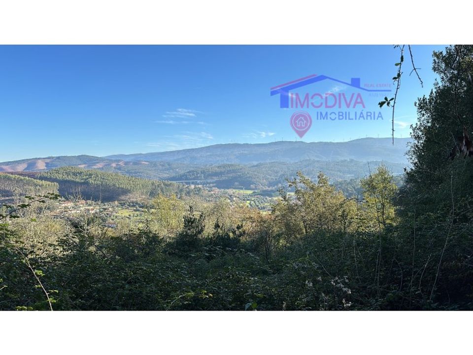 Helårsgrund i Penela, Coimbra - foto 3