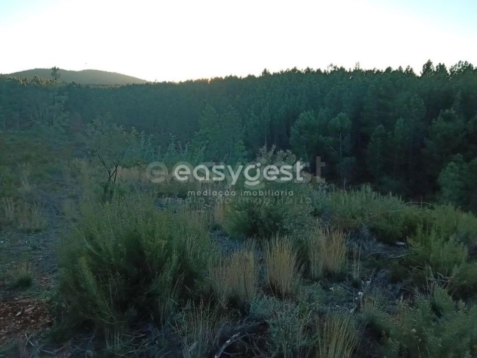 Helårsgrund i Fundao, Castelo Branco - foto 1