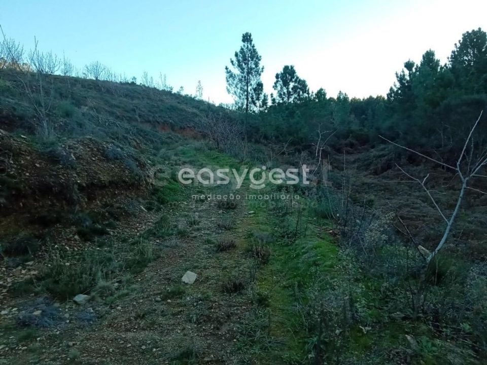 Helårsgrund i Fundao, Castelo Branco - foto 2