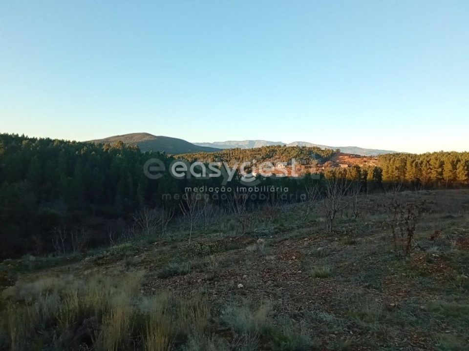 Helårsgrund i Fundao, Castelo Branco - foto 3