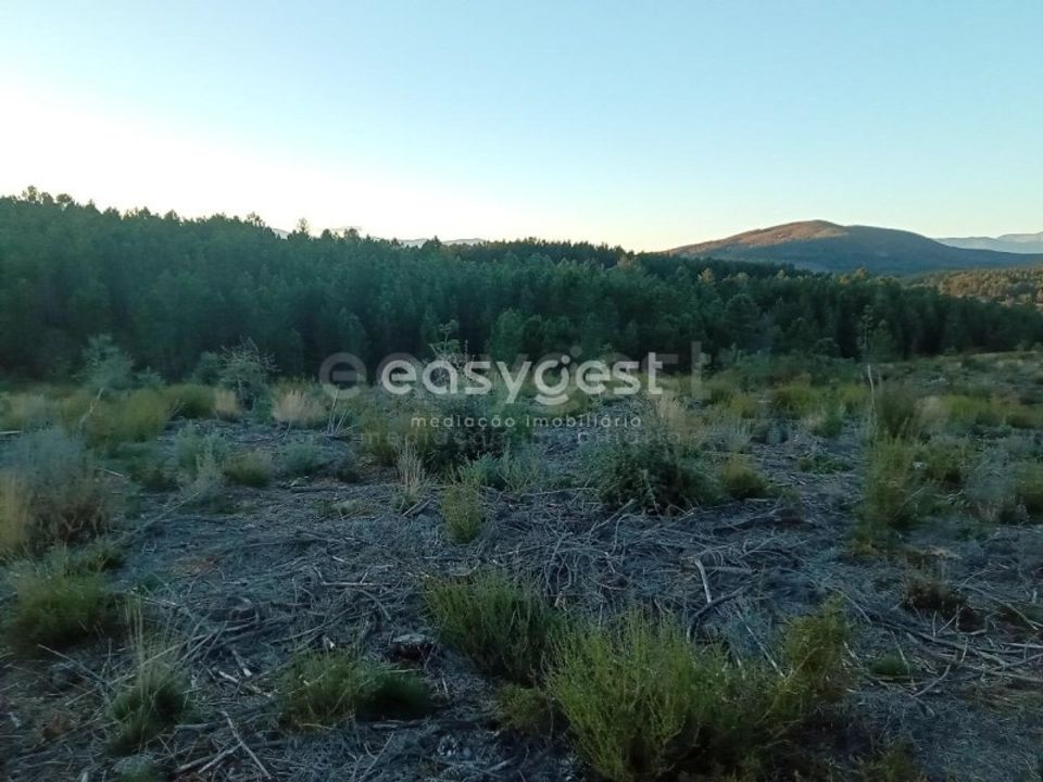 Helårsgrund i Fundao, Castelo Branco - foto 4